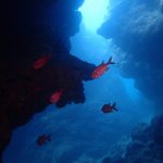 中の島チャネル